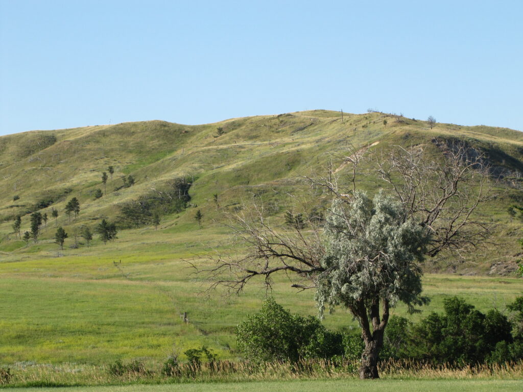 Montana Landscape