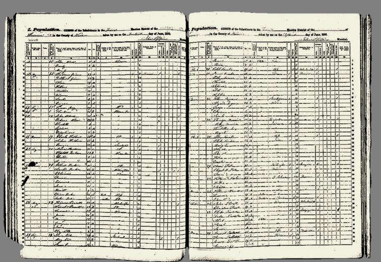 1855 New York State Census