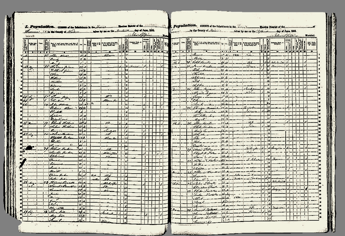 1855 New York State Census